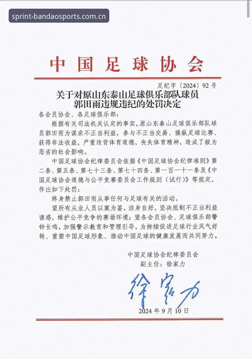 足协第三批禁足名单深度解读：在半岛综合体育平台掌握足球反腐的实用指南