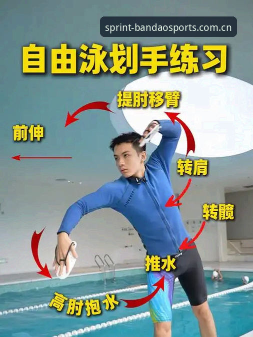 半岛体育教程使用技巧：如何从新手快速变身高手？